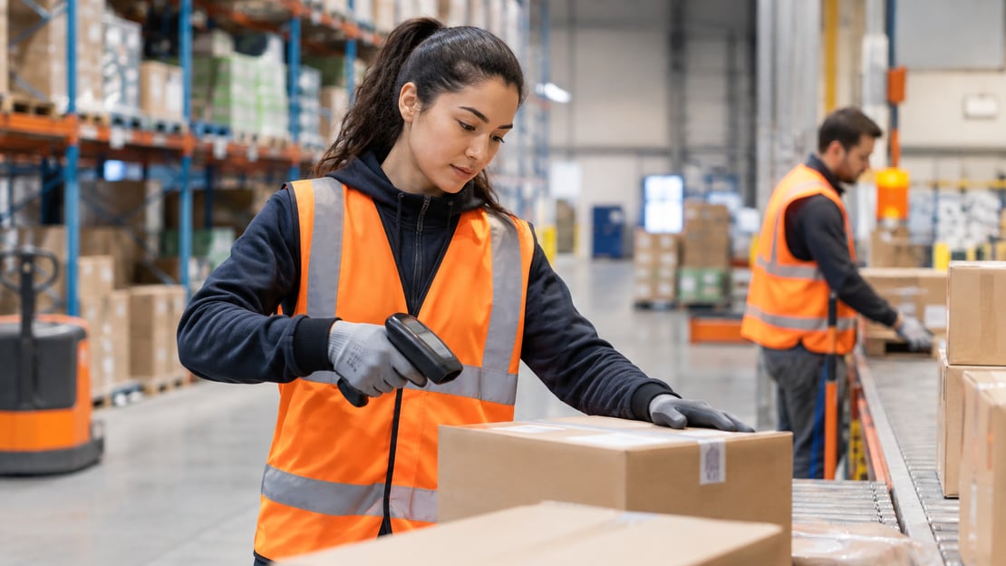 Afbeelding bij vacature Warehouse & Logistics Employee – Limburg